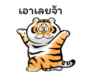 ลายที่ 17