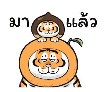 ลายที่ 18