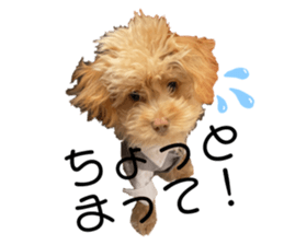 469886587