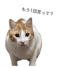 469895877