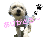 469954870