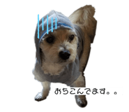 469954889