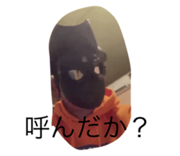 470251415