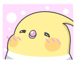 470403537