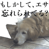 470403914