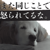 470403917