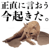 470403920