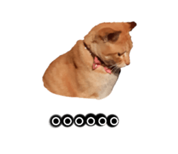 470404458