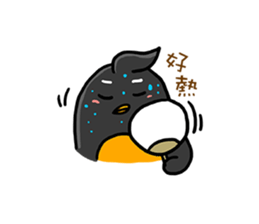 4704072