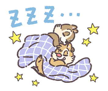 ลายที่ 43