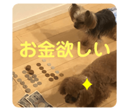 470515491