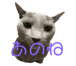 470571714