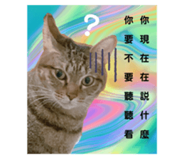 470718254