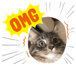 470757604
