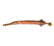 470873140