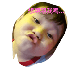 47090847