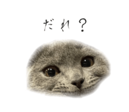 470946498