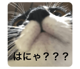 471070261