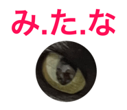 471110384