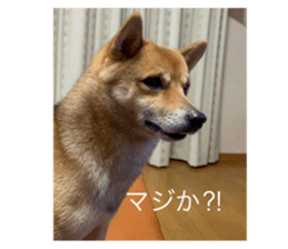 471122945