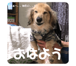 471139825
