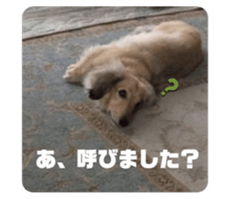 471139835
