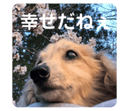 471139852