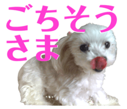 471149141