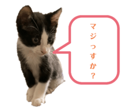 471214393