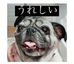 471292799
