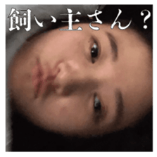 471526219