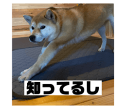 471683696