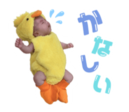 471713876