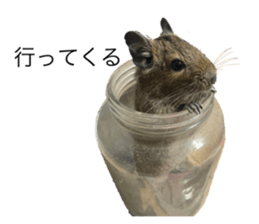 472011016