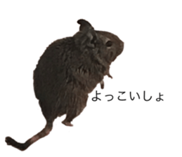 472011019