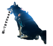 472070969