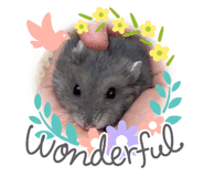 472205018
