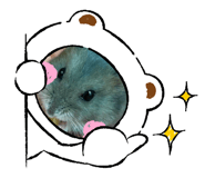 472205020