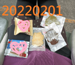 472261223