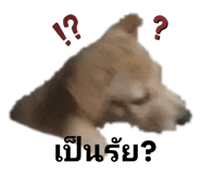 472262942