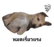 472262944