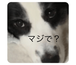 472314777