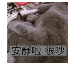 472341594