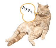 472530971