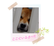 472605664