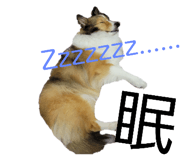 472606295