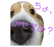472606298