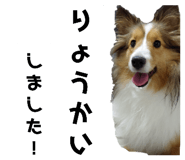 472606301