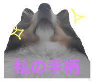 472606302