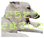 472606303